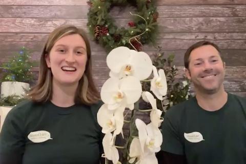 The Guru's Guide to Holiday Plants, McDonald Garden Center