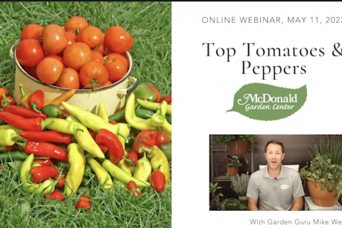 The Garden Guru's Top Tomatoes & Peppers, McDonald Garden Center