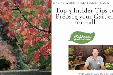 Top 5 Insider Tips to Prepare your Garden for Fall