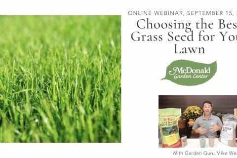 Choosing the Best Grass Seed for Your Lawn, McDonald Garden Center