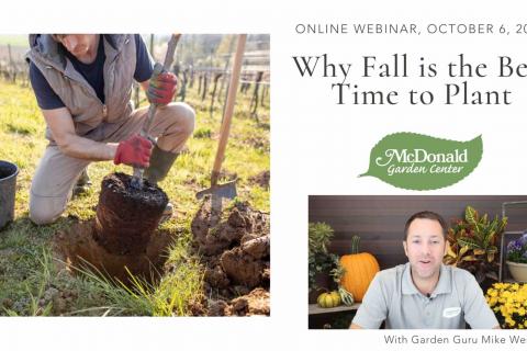 Why Fall is the Best Time to Plant, McDonald Garden Center