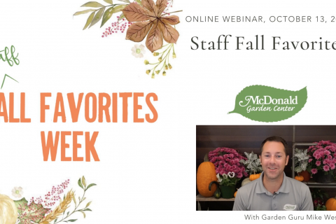Staff Fall Favorites Week, McDonald Garden Center