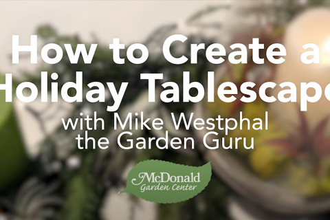 How to Make a Holiday Tablescape, McDonald Garden Center