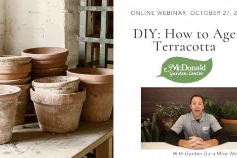 DIY: How to Age Terracotta