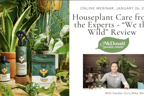 Houseplant Care from the Experts - “We the Wild” Review