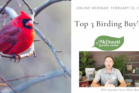 The Guru's Top 3 Birding Buys