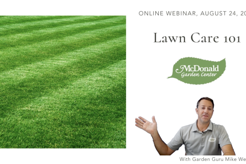 Lawn Care 101