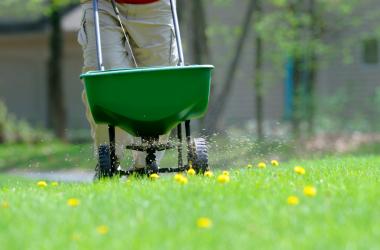 Lawn Classes