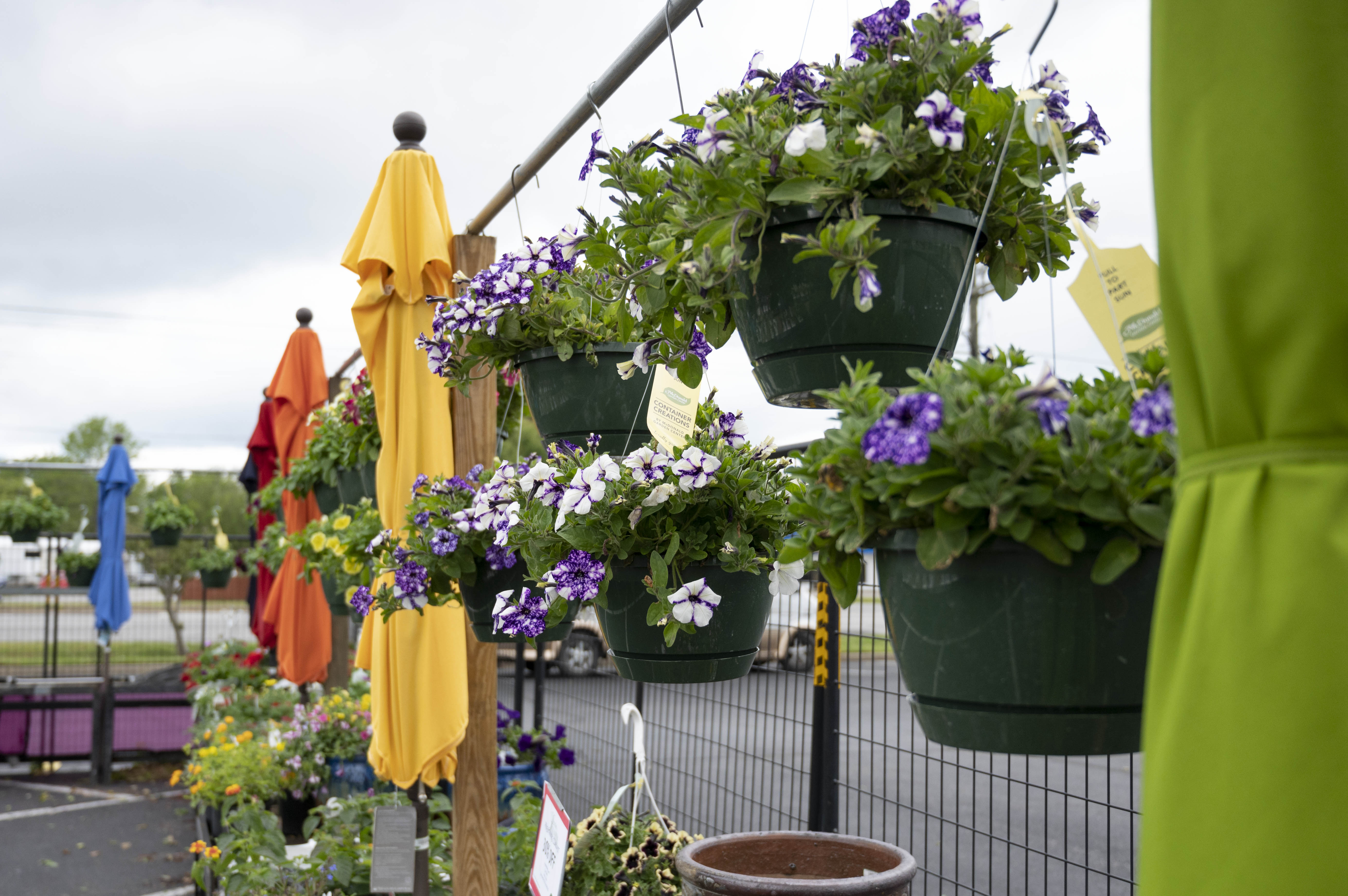 Garden Market Image