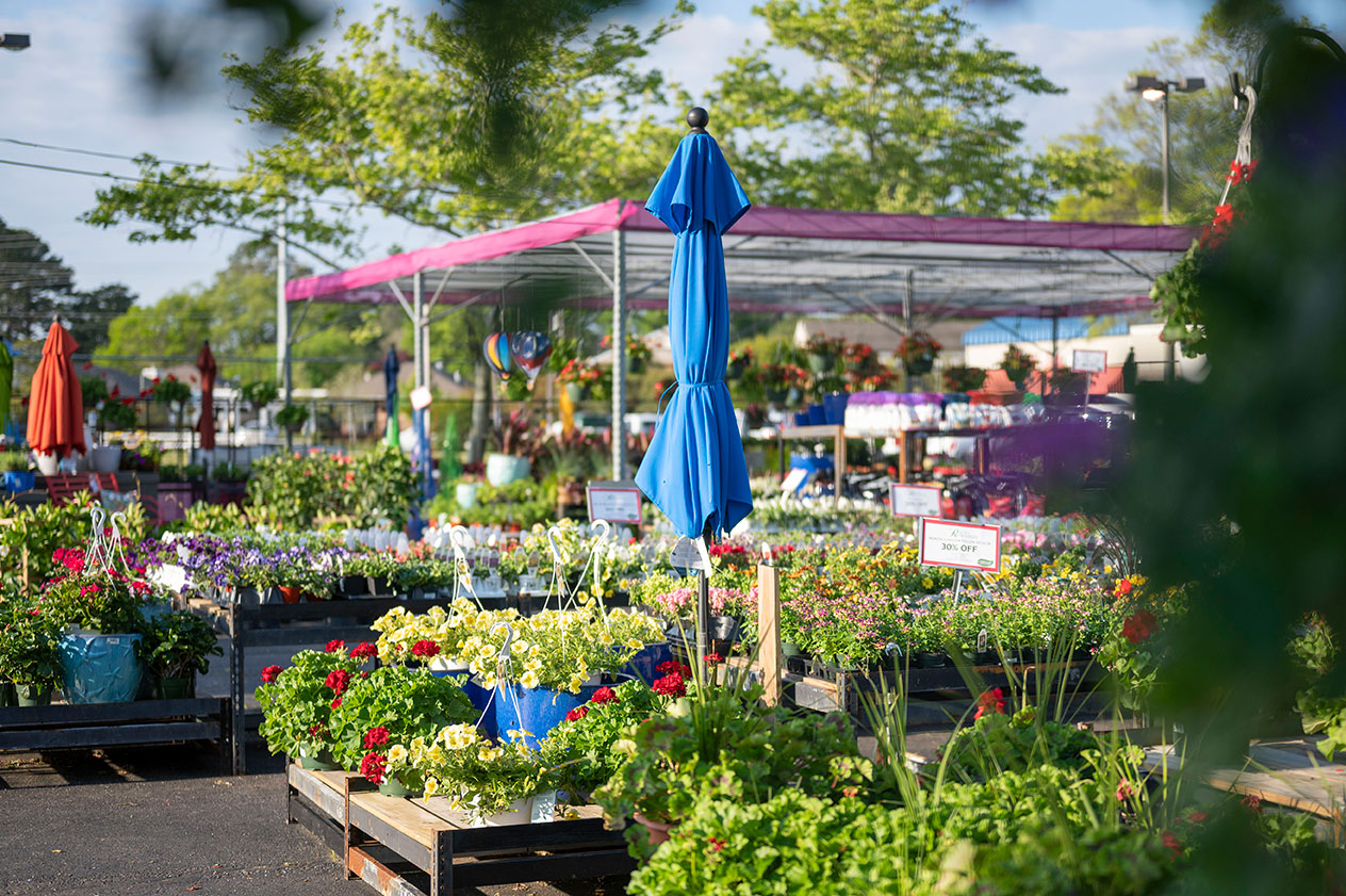 Garden Market Image
